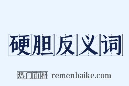 硬胆反义词是什么意思的图片